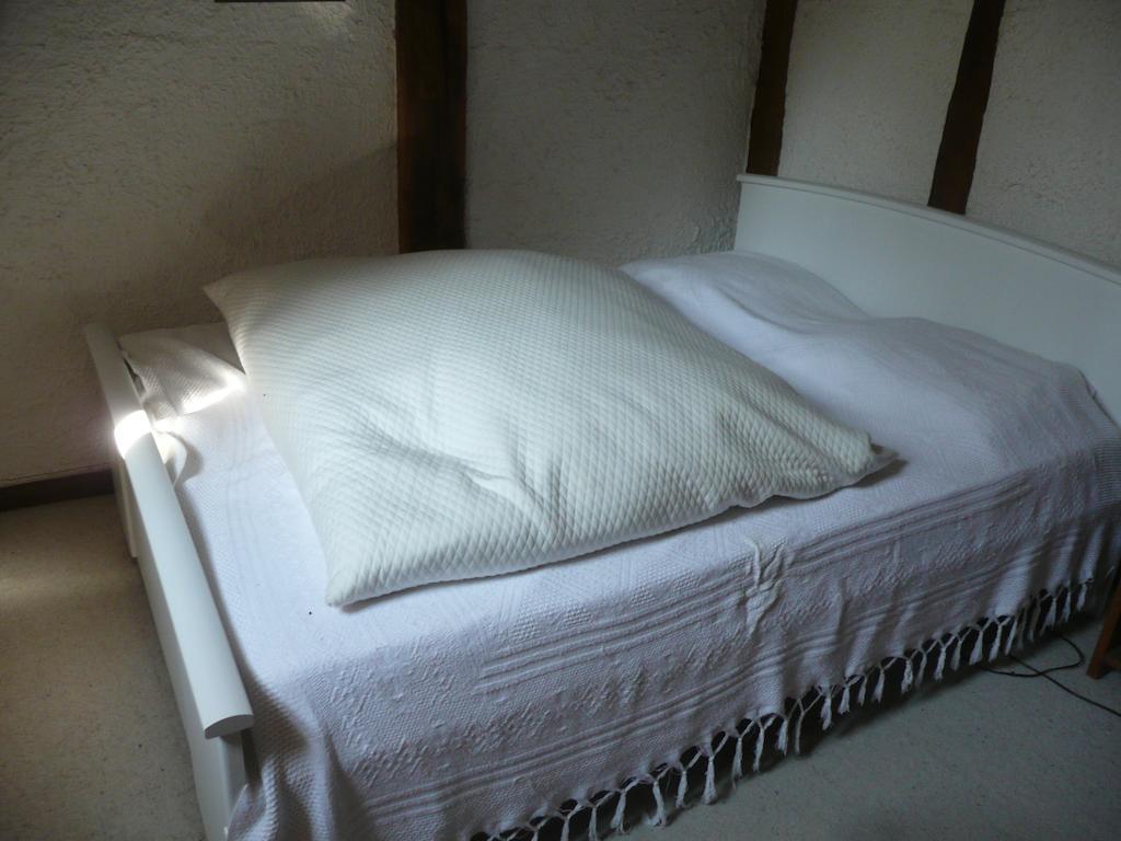 Gite De La Ronceraie Chaumont-sur-Loire Room photo